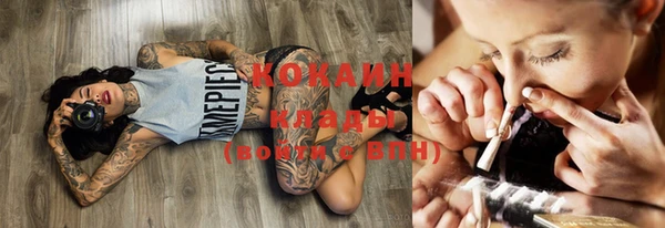 кокс Баксан