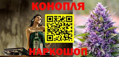 мдпв Ачхой-Мартан