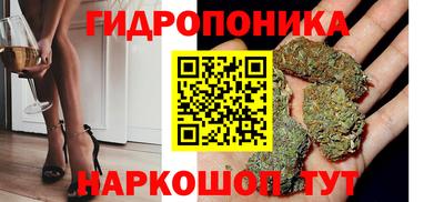 индика Баксан