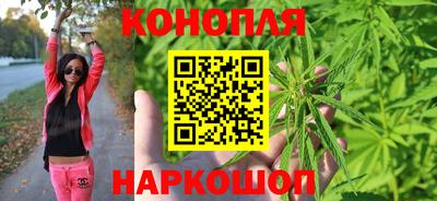 мдпв Ачхой-Мартан