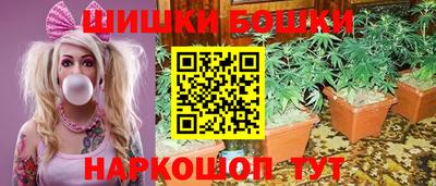 мдпв Ачхой-Мартан