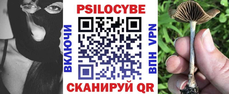 Галлюциногенные грибы Cubensis  Великий Устюг 