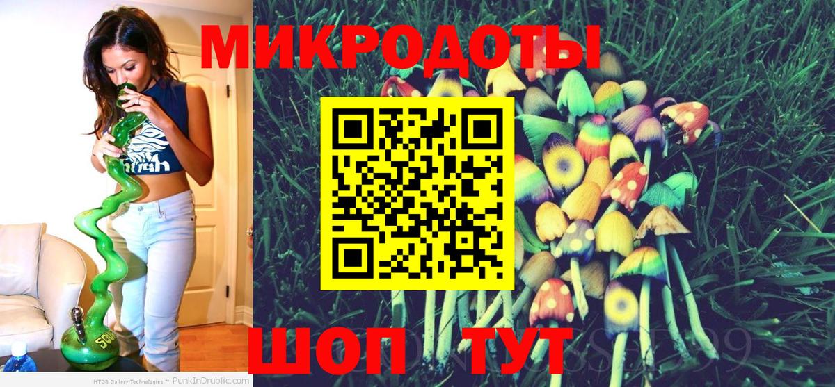Псилоцибиновые грибы Psilocybine cubensis  Вход с VPN  Великий Устюг 